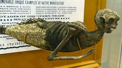 Strange Evidence Season 8 Episode 6