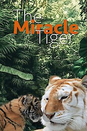 The Miracle Tiger