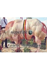 Superlife: Genetic Manipulation