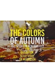 The Colors of Autumn: Fall Scenes In New York City for Relaxation, Sleep, Study or Meditation