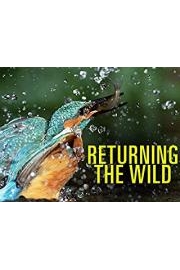 Returning the Wild