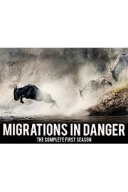 Migrations in Danger