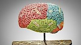 Giant Brain, Mayan Pyramid and Beauty Queen Cakes