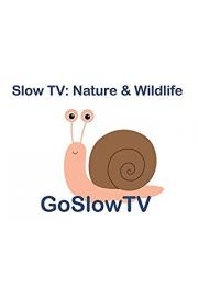 Slow TV by GoSlowTV