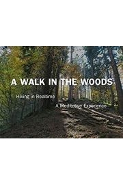 A Walk In The Woods