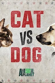 Cat vs. Dog