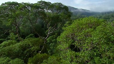 Round Planet Season 1 Episode 9