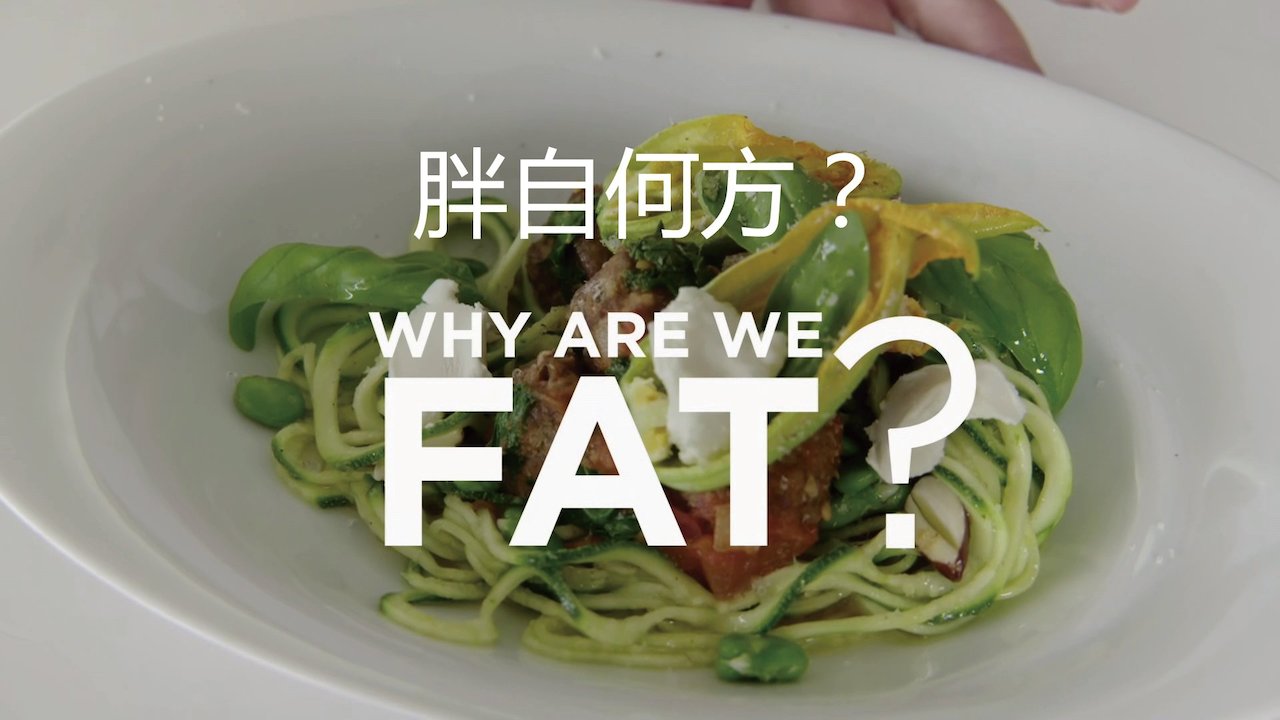 Why Are We Fat?
