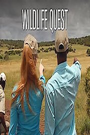 Wildlife Quest
