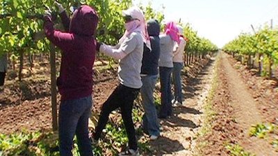 Frontline World Season 8 Episode 7