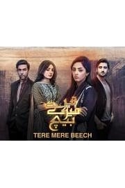 Tere Mere Beech