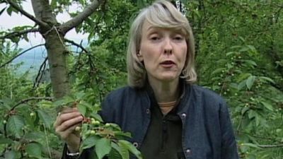 Simple Living With Wanda Urbanska Season 2 Episode 5