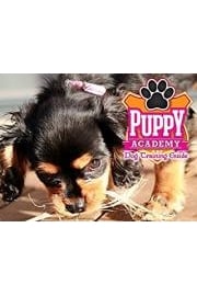 Puppy Academy: Dog Training Guide