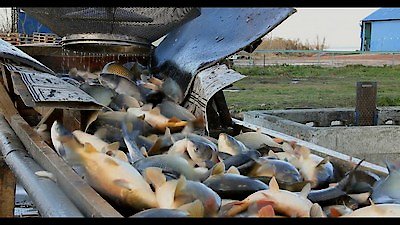 Rotten Season 1 Episode 6