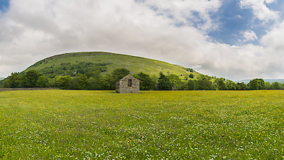 Plants Behaving Badly Season 1 Episode 2