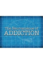 The Neuroscience of Addiction