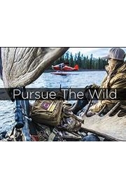 Pursue The Wild