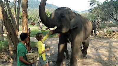 Samantha Brown's Asia Season 1 Episode 1