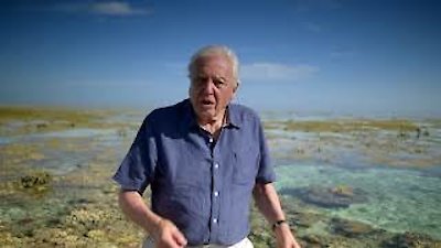 David Attenborough's Great Barrier Reef Season 1 Episode 3