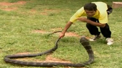 Nat Geo Amazing Season 1 Episode 2