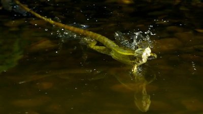 Nat Geo Amazing Season 1 Episode 9