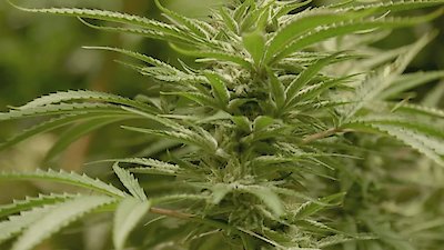 The Naked Truth Season 1 Episode 5