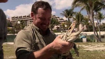 Python Hunters Season 1 Episode 3