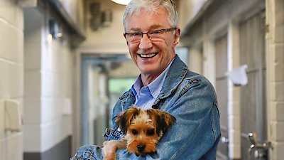 Paul O'Grady: For the Love of Dogs Season 1 Episode 1