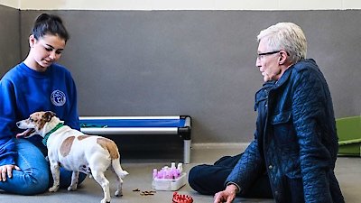 Paul O'Grady: For the Love of Dogs Season 1 Episode 2