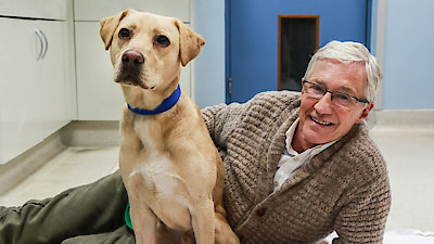 Paul O'Grady: For the Love of Dogs Season 1 Episode 7