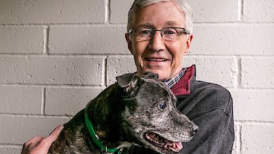 Paul O'Grady: For the Love of Dogs Season 6 Episode 1