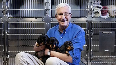 Paul O'Grady: For the Love of Dogs Season 7 Episode 1