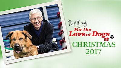 Paul O'Grady: For the Love of Dogs Season 6 Episode 4