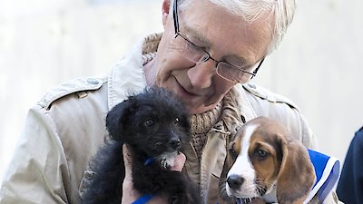 Paul O'Grady: For the Love of Dogs Season 3 Episode 5