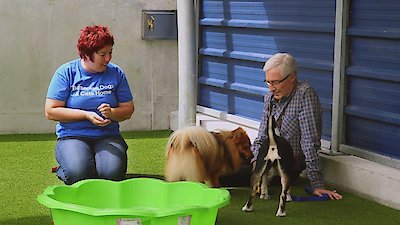 Paul O'Grady: For the Love of Dogs Season 4 Episode 6