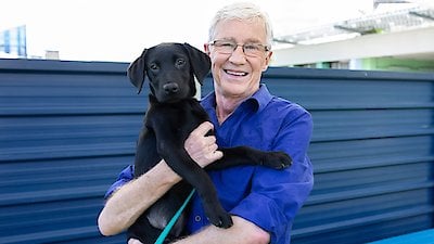 Paul O'Grady: For the Love of Dogs Season 8 Episode 6