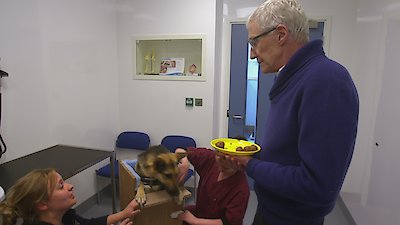 Paul O'Grady: For the Love of Dogs Season 6 Episode 7