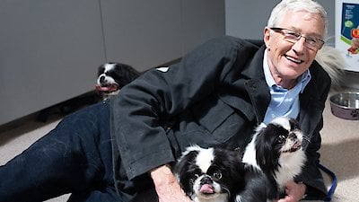 Paul O'Grady: For the Love of Dogs Season 8 Episode 7