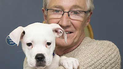 Paul O'Grady: For the Love of Dogs Season 3 Episode 8