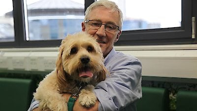 Paul O'Grady: For the Love of Dogs Season 6 Episode 8