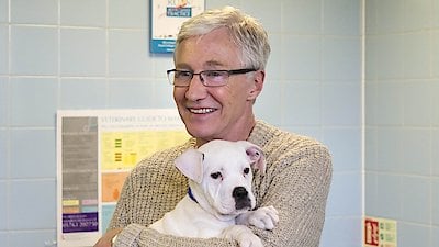 Paul O'Grady: For the Love of Dogs Season 3 Episode 10