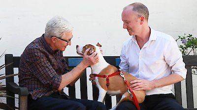 Paul O'Grady: For the Love of Dogs Season 3 Episode 11