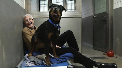 Paul O'Grady: For the Love of Dogs Season 9 Episode 3