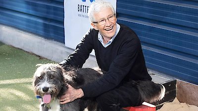 Paul O'Grady: For the Love of Dogs Season 9 Episode 7