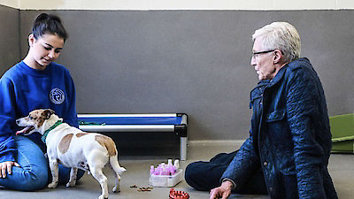 Paul O'Grady: For the Love of Dogs Season 5 Episode 2