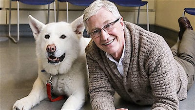 Paul O'Grady: For the Love of Dogs Season 5 Episode 8