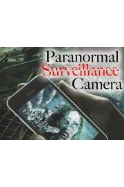Paranormal Surveillance Camera: Tokyo Streets