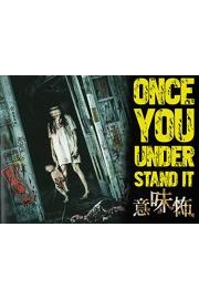 Once You Understand It