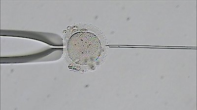 NOVA Season 50 Episode 8