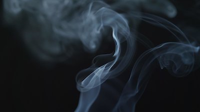 NOVA Season 50 Episode 14